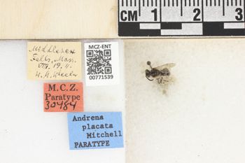 Media type: image;   Entomology 771539 Aspect: Labels